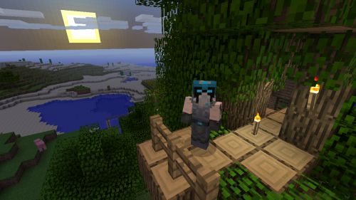 More Minecraft Skins Unveiled