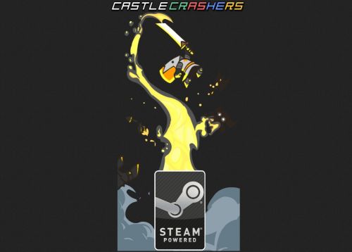 Castle Crashers - The Co-op Mode 